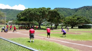 Hawaii Physical Therapy vs. Rep. Choy