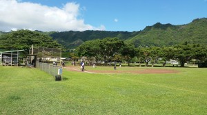 Hawaii Physical Therapy vs. Rep. Choy