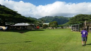 Mauka view of Manoa District Park from the pavillion area.